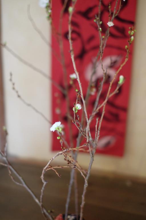 Kanazawa Tabi-Ne Buitenkant foto